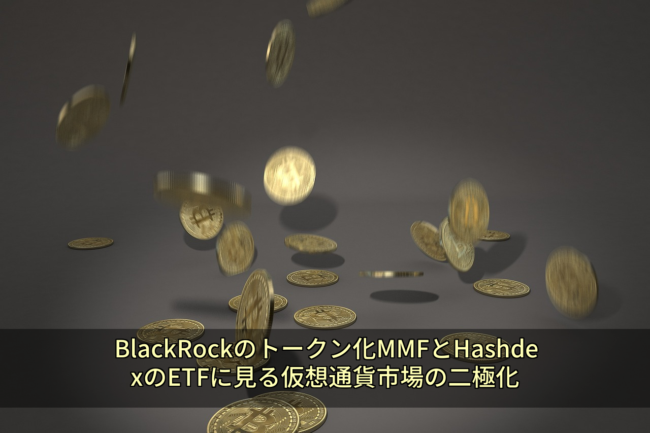 BlackRockのトークン化MMFとHashdexのETFに見る仮想通貨市場の二極化